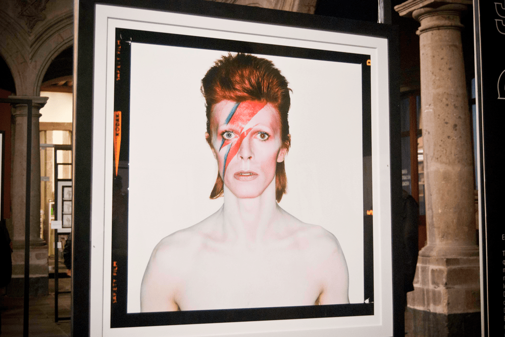 15555500_10153944463026432_34250388_o