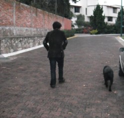 Pedro Trujillo_Semblanza