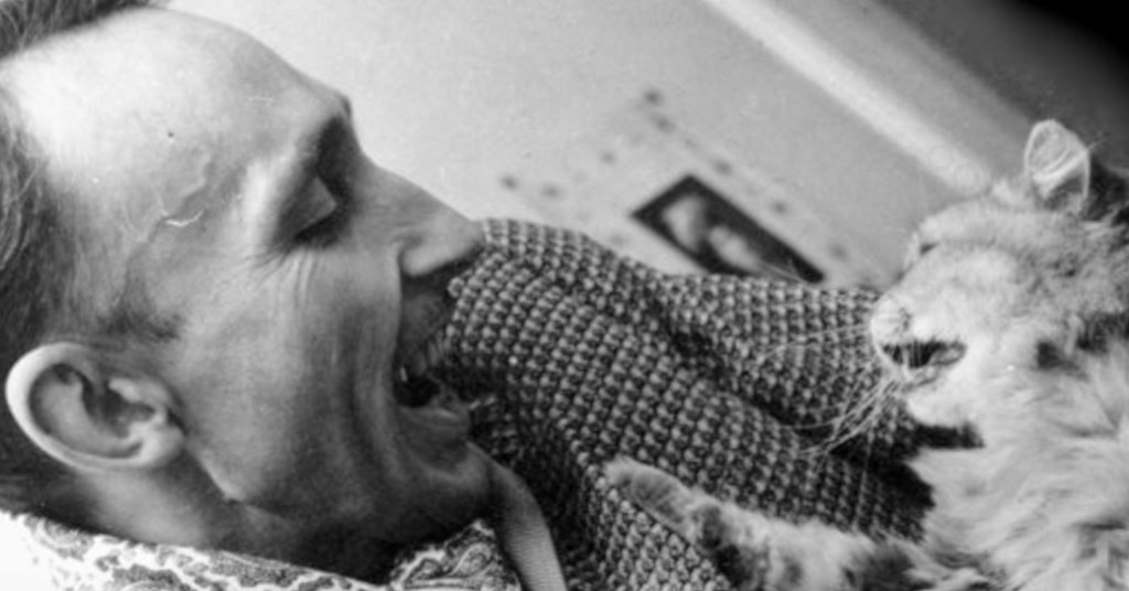 La crítica de cine: ¿amor al cine o&nbsp;egolatría?