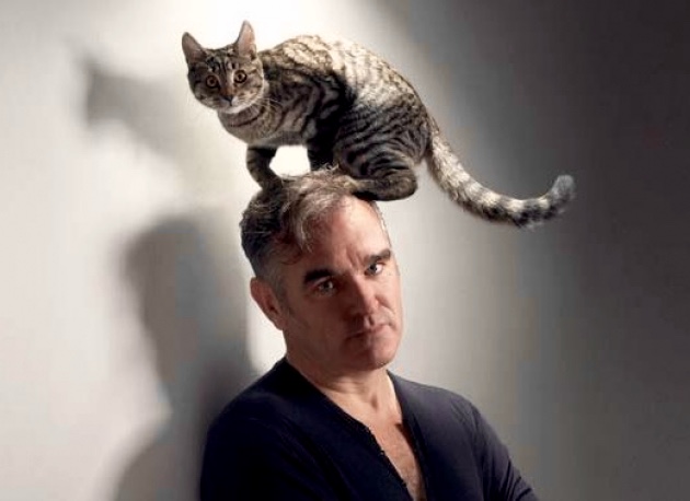 Morrissey