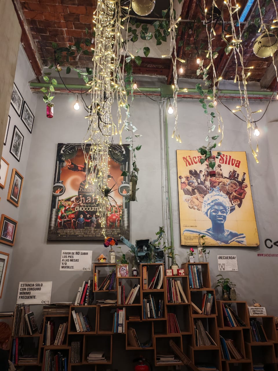 Verano macabro con Julieta Lomelí&nbsp;Balver